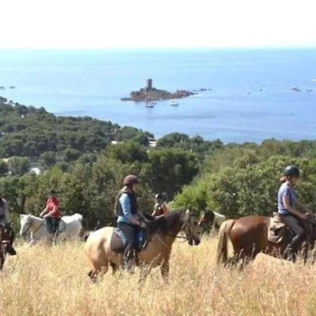 Dans Un Cadre D'exception, Vue Panoramique A Agay Cote D'azur, Village Cap Esterel, 2 Chambres, Avec Jardin, Golf, Climatisation, Wifi, 5 Piscines Διαμέρισμα